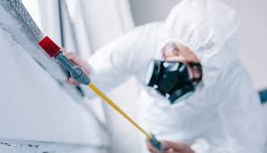 Best Pest Control for Multi-Family Homes  in Luther, OK